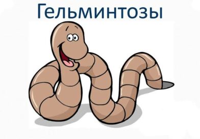 Профилактика гельминтозов и заразных кожных заболеваний